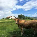 Baskoparadis I Eco-gites I Calme I Vue I Anes I Jardin I Montagne I Nature *