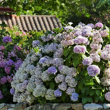 Baskoparadis I Eco-gites I Calme I Vue I Anes I Jardin I Montagne I Nature
