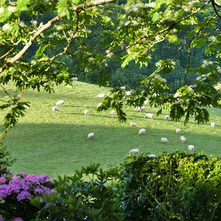Baskoparadis I Eco-gites I Calme I Vue I Anes I Jardin I Montagne I Nature