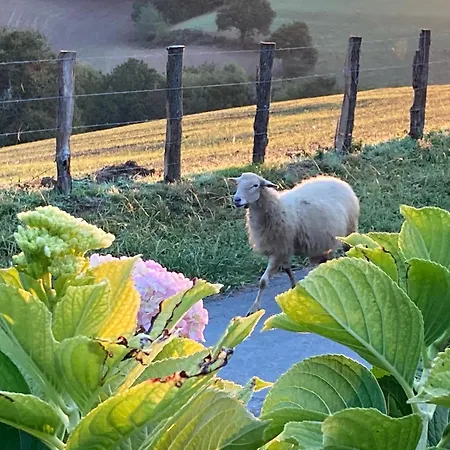 Baskoparadis I Eco-gites I Calme I Vue I Anes I Jardin I Montagne I Nature * Louhossoa