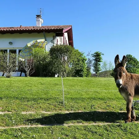 Baskoparadis I Eco-gites I Calme I Vue I Anes I Jardin I Montagne I Nature Louhossoa