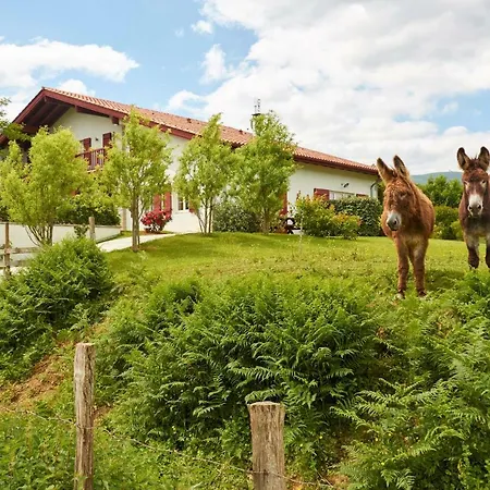 Baskoparadis I Eco-gites I Calme I Vue I Anes I Jardin I Montagne I Nature Louhossoa