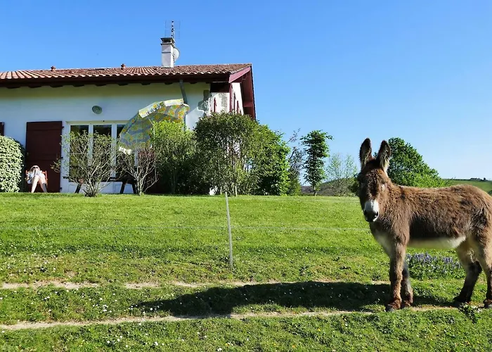 Baskoparadis I Eco-gites I Calme I Vue I Anes I Jardin I Montagne I Nature Louhossoa